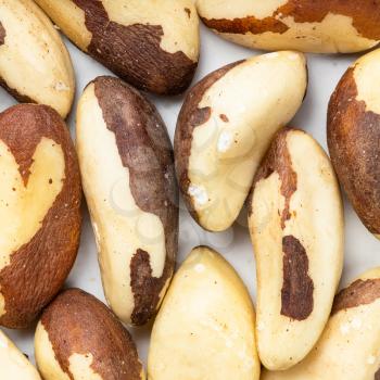 square food background - raw brazil nuts close up