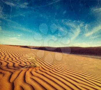 Vintage retro hipster style travel image of dunes of Thar Desert. Sam Sand dunes, Rajasthan, India with grunge texture overlaid