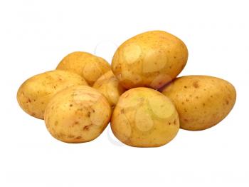 Potatoes isolated on white background.