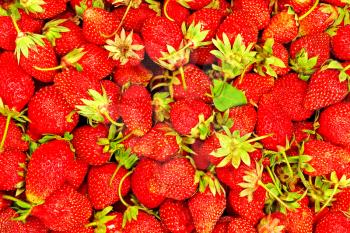 Fresh strawberries suitable as background.