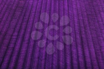 Violet corrugated fabric texture as abstract background.