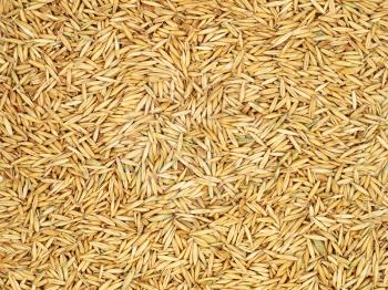 Oats grains as background.