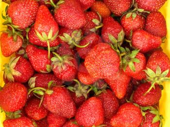 Fresh strawberries in a yellow basket.