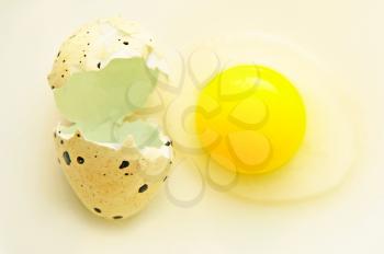 Broken quail egg with shell taken closeup.