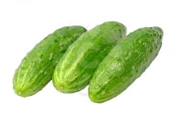 Three ripe green cucumbers isolated on white background.