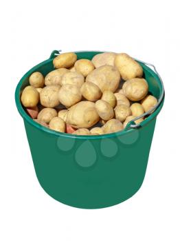 Potatoes in plastic green bucket isolated on white background.