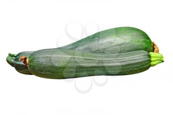 Zucchini vegetable taken closeup isolated on white background.