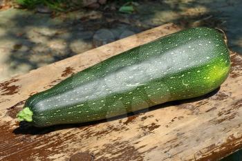 Zucchini vegetable on wooden surface taken closeup.