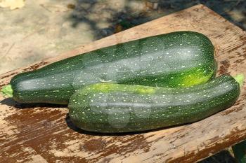 Two zucchini vegetable on wooden surface taken closeup.