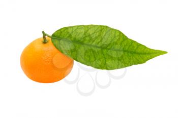 Ripe mandarin with green leaf taken closeup isolated on white background.