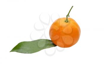 Mandarin and green leaf taken closeup isolated on white background.