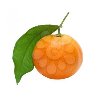 Fresh mandarin with green leaf taken closeup isolated on white background.