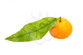 Tangerine with green leaf taken closeup isolated on white background.