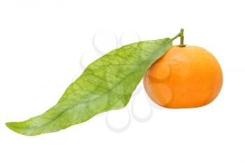 Fresh tangerine with green leaf taken closeup isolated on white background.