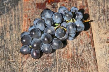 Ripe blue grape taken closeup on a grunge wooden surface.
