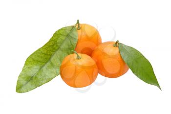 Three ripe tangerine with green leafes isolated on white background.