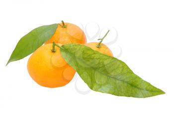 Three fresh tangerines with green leafes isolated on white background.