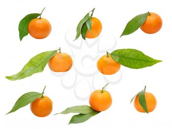 Set of ripe mandarines with green leaf taken closeup isolated on white background.