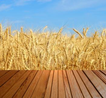 Brown timber surfase against of ripe wheat ears and blue sky.