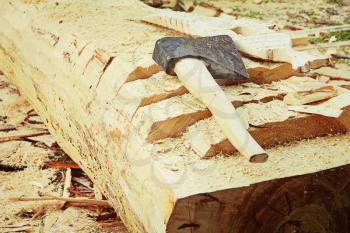 Splitting axe on a tree trunk taken closeup.Toned image.