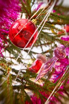 Red Christmas balls on a pine branch taken closeup with soft bokeh.