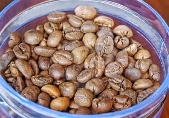 Coffee beans in glass container taken closeup.