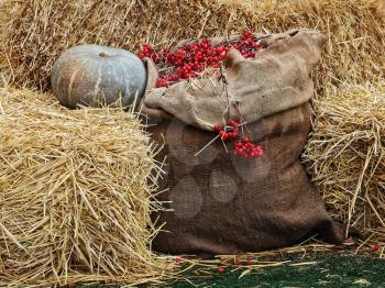 Thanksgiving Display of Pumpkin on hay stacks and burlap sack with red berries.Toned image.