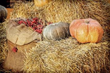 Thanksgiving Display of Pumpkin on hay bale and burlap sack with red berries.Retro style toned image.
