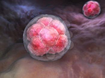 Abstract cells in division phase