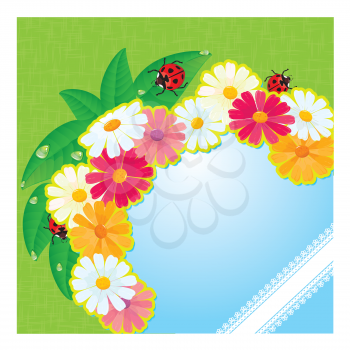 ladybirds and daisies - summer card with empty space for your text