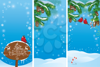 Set of vertical banners with fir tree branches and bullfinch birds on light blue sky background. Images for Christmas and New Year design.