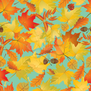 Seamless pattern with red and yellow autumn leaves. Fall season background