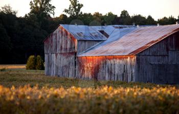 Red Barn at Sunset weathered agriculture Ontario Canada