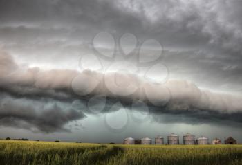 Storm Clouds Saskatchewan over planted wheat fields