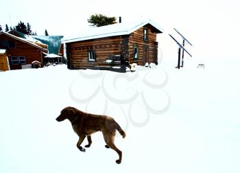 Solar Panels Saskatchewan Hunting Lodge