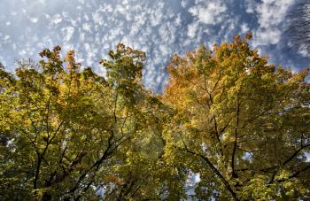 Potawatomi State Park Autumn fall colors