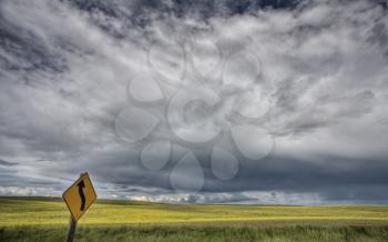 Yellow Turn Sign with canola field and storm clouds