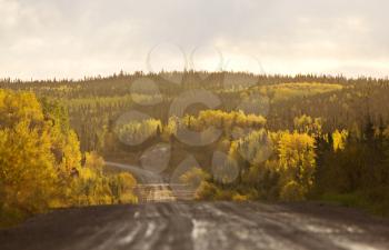 Northern Manitoba road in autumn