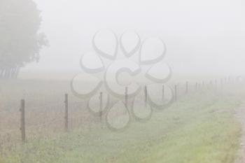 Mist fog along fenceline Canada
