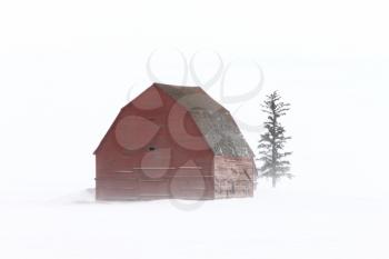 Old Barn in Winter Saskatchewan
