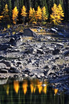 Water reflection of autumn trees along rocky shore