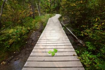 Boardwalk to Backguard Falls in British Columbia