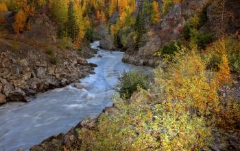 Autumn colors along Stikine River in Northern British Columbia