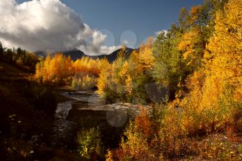 Autumn colors along Rescue Creek in Northern British Columbia
