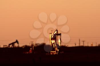 Oil pumps in Saskatchewan field