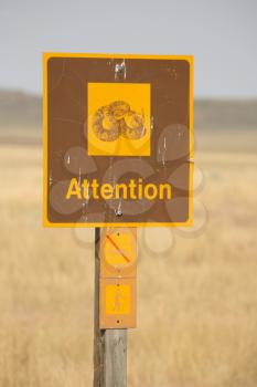Rattlesnake attention road sign in scenic Saskatchewan