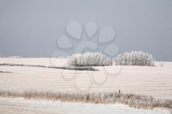 Winter Stock Photo