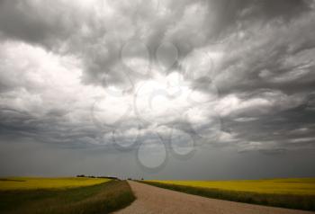 Cumulonimbus clouds contain severe convention currents, with very high, unpredictable winds, particularly in the vertical plane (updrafts and downdrafts). The air convection can also form mesocyclones