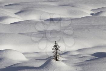 Mountain Snow Moguls Winter Alberta Canada cold