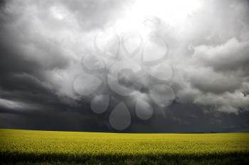 Storm Clouds Saskatchewan Prairie scene Canada Farm